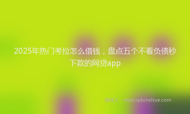 2025年热门考拉怎么借钱，盘点五个不看负债秒下款的网贷app