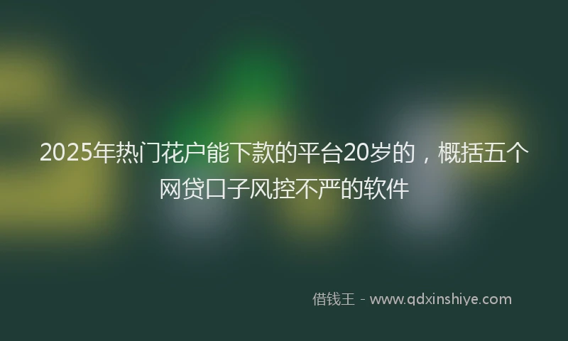 2025年热门花户能下款的平台20岁的，概括五个网贷口子风控不严的软件
