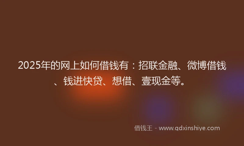 2025年的网上如何借钱有：招联金融、微博借钱、钱进快贷、想借、壹现金等。