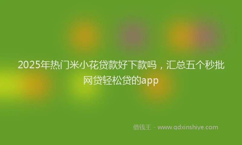 2025年热门米小花贷款好下款吗，汇总五个秒批网贷轻松贷的app