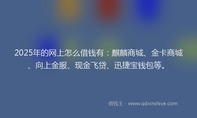 2025年的网上怎么借钱有：麒麟商城、金卡商城、向上金服、现金飞贷、迅捷宝钱包等。