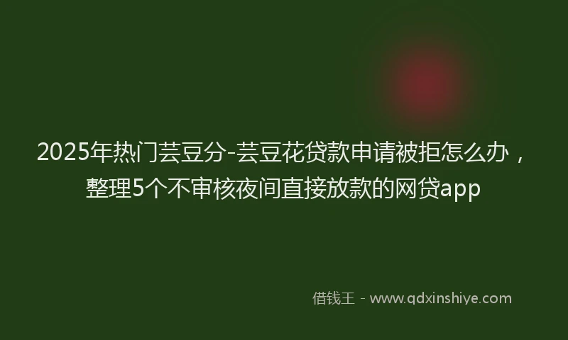 2025年热门芸豆分-芸豆花贷款申请被拒怎么办，整理5个不审核夜间直接放款的网贷app