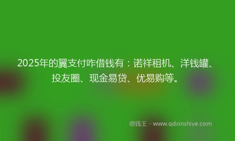 2025年的翼支付咋借钱有：诺祥租机、洋钱罐、投友圈、现金易贷、优易购等。