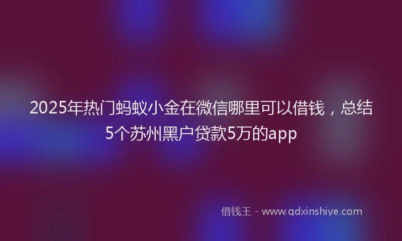 2025年热门蚂蚁小金在微信哪里可以借钱，总结5个苏州黑户贷款5万的app