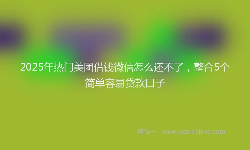 2025年热门美团借钱微信怎么还不了，整合5个简单容易贷款口子