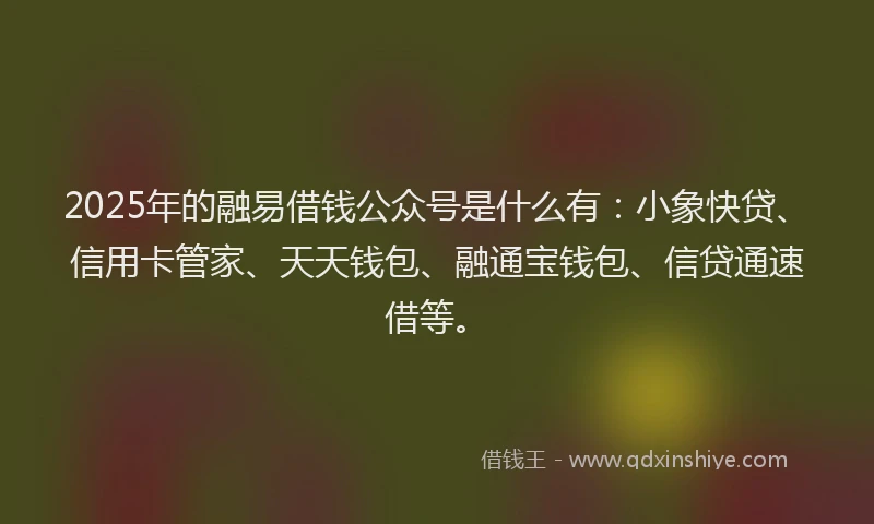 2025年的融易借钱公众号是什么有：小象快贷、信用卡管家、天天钱包、融通宝钱包、信贷通速借等。