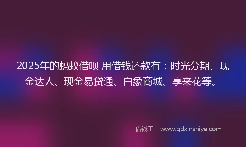 2025年的蚂蚁借呗 用借钱还款有：时光分期、现金达人、现金易贷通、白象商城、享来花等。