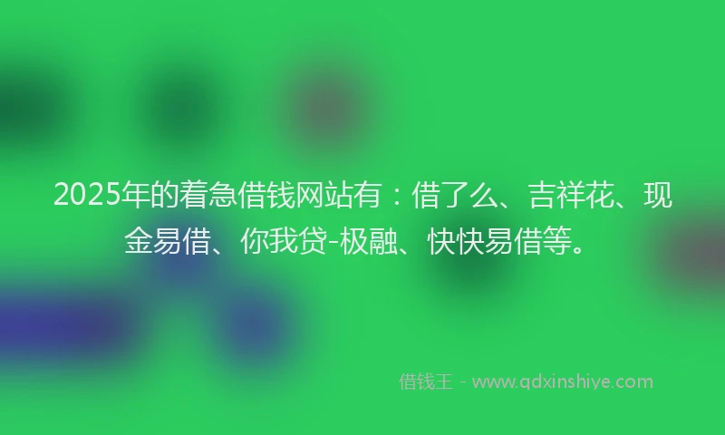 2025年的着急借钱网站有：借了么、吉祥花、现金易借、你我贷-极融、快快易借等。