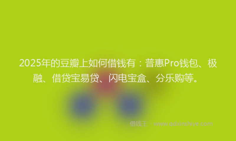2025年的豆瓣上如何借钱有：普惠Pro钱包、极融、借贷宝易贷、闪电宝盒、分乐购等。