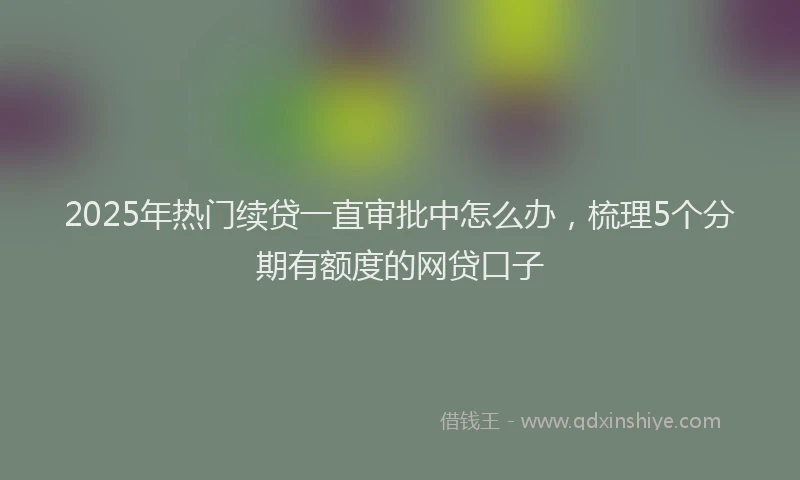2025年热门续贷一直审批中怎么办，梳理5个分期有额度的网贷口子