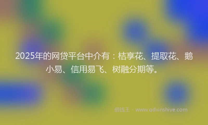 2025年的网贷平台中介有：桔享花、提取花、鹅小易、信用易飞、树融分期等。