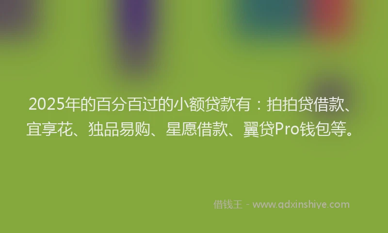 2025年的百分百过的小额贷款有：拍拍贷借款、宜享花、独品易购、星愿借款、翼贷Pro钱包等。
