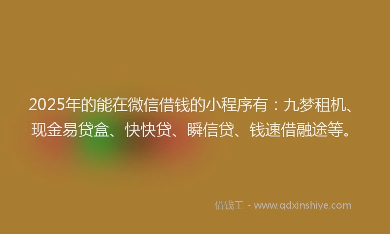 2025年的能在微信借钱的小程序有：九梦租机、现金易贷盒、快快贷、瞬信贷、钱速借融途等。