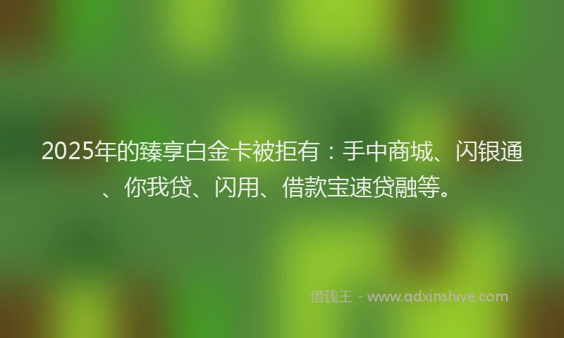 2025年的臻享白金卡被拒有：手中商城、闪银通、你我贷、闪用、借款宝速贷融等。