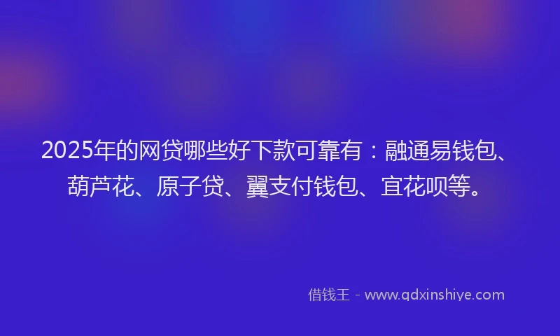 2025年的网贷哪些好下款可靠有：融通易钱包、葫芦花、原子贷、翼支付钱包、宜花呗等。