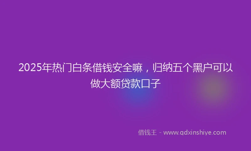 2025年热门白条借钱安全嘛，归纳五个黑户可以做大额贷款口子