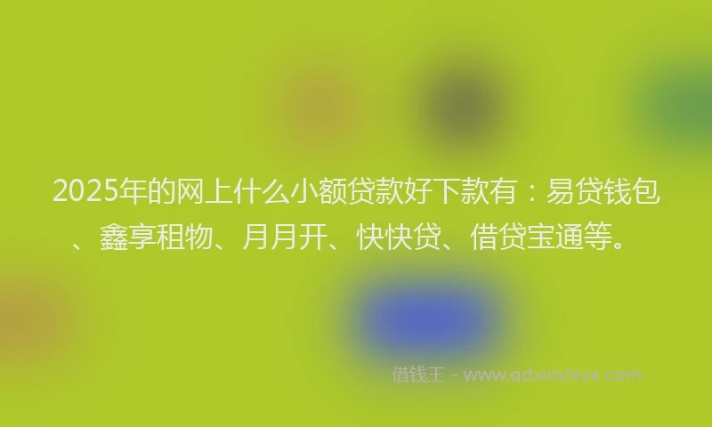2025年的网上什么小额贷款好下款有：易贷钱包、鑫享租物、月月开、快快贷、借贷宝通等。