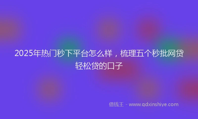 2025年热门秒下平台怎么样，梳理五个秒批网贷轻松贷的口子