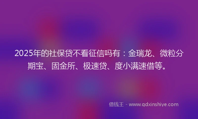 2025年的社保贷不看征信吗有：金瑞龙、微粒分期宝、固金所、极速贷、度小满速借等。