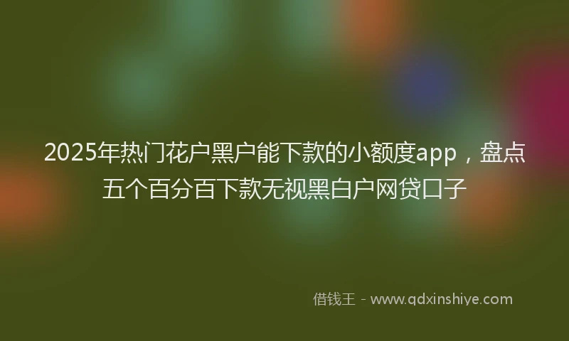 2025年热门花户黑户能下款的小额度app，盘点五个百分百下款无视黑白户网贷口子