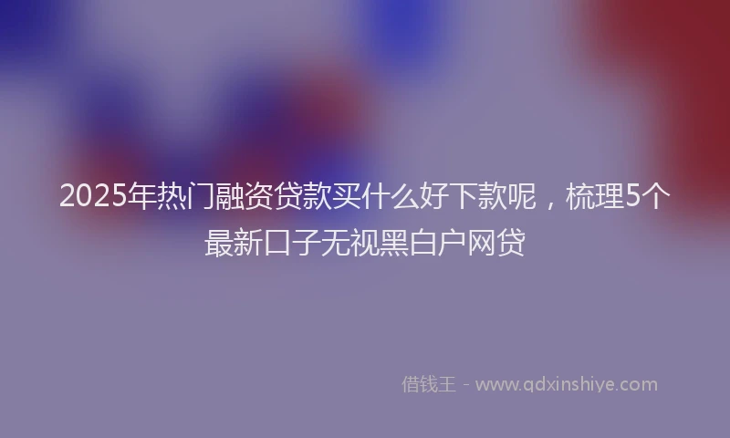 2025年热门融资贷款买什么好下款呢，梳理5个最新口子无视黑白户网贷