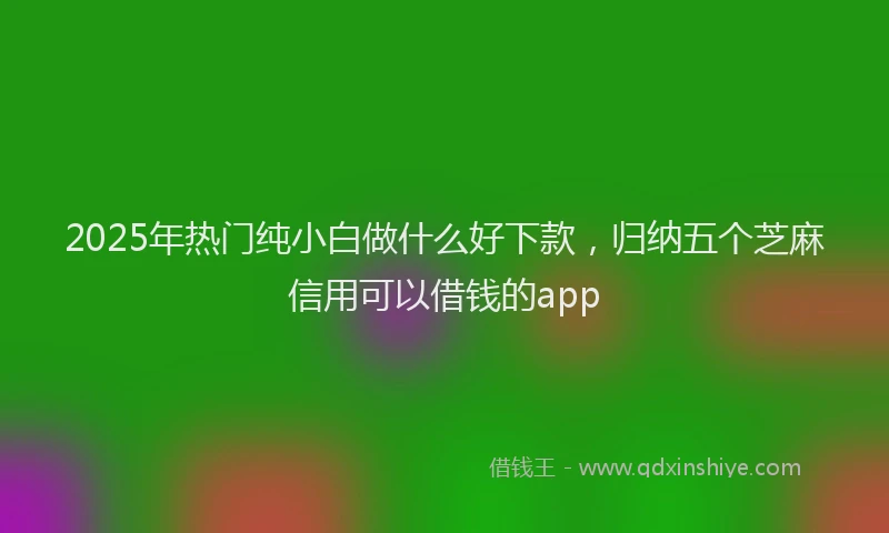 2025年热门纯小白做什么好下款，归纳五个芝麻信用可以借钱的app