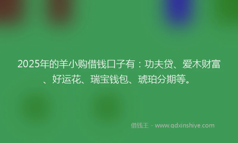 2025年的羊小购借钱口子有：功夫贷、爱木财富、好运花、瑞宝钱包、琥珀分期等。