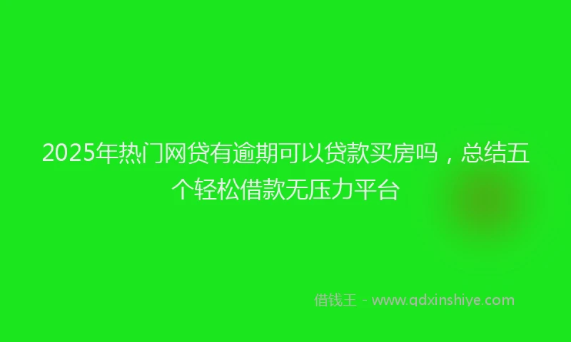 2025年热门网贷有逾期可以贷款买房吗，总结五个轻松借款无压力平台