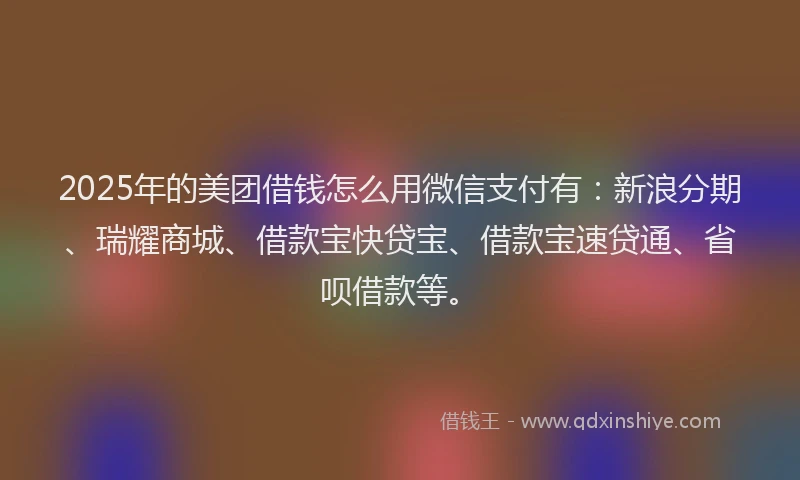 2025年的美团借钱怎么用微信支付有：新浪分期、瑞耀商城、借款宝快贷宝、借款宝速贷通、省呗借款等。