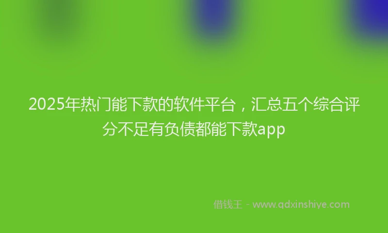 2025年热门能下款的软件平台，汇总五个综合评分不足有负债都能下款app