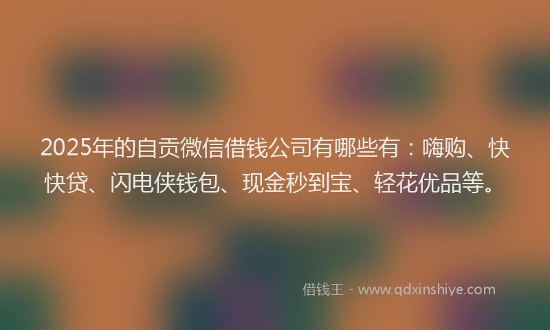 2025年的自贡微信借钱公司有哪些有：嗨购、快快贷、闪电侠钱包、现金秒到宝、轻花优品等。