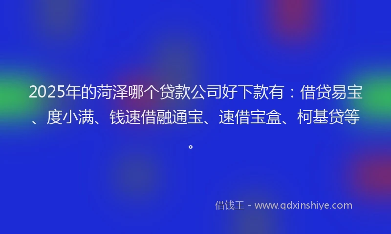 2025年的菏泽哪个贷款公司好下款有：借贷易宝、度小满、钱速借融通宝、速借宝盒、柯基贷等。