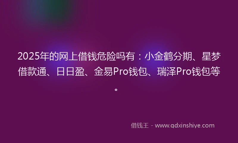 2025年的网上借钱危险吗有：小金鹤分期、星梦借款通、日日盈、金易Pro钱包、瑞泽Pro钱包等。