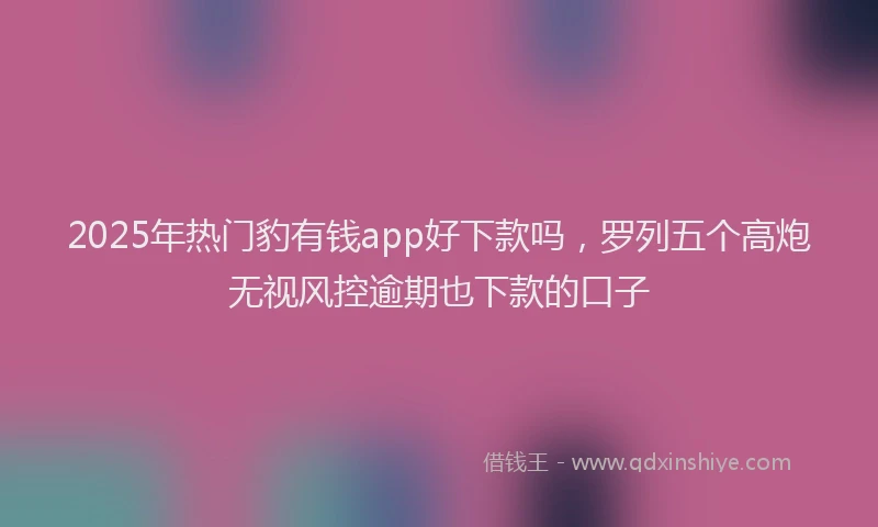 2025年热门豹有钱app好下款吗，罗列五个高炮无视风控逾期也下款的口子