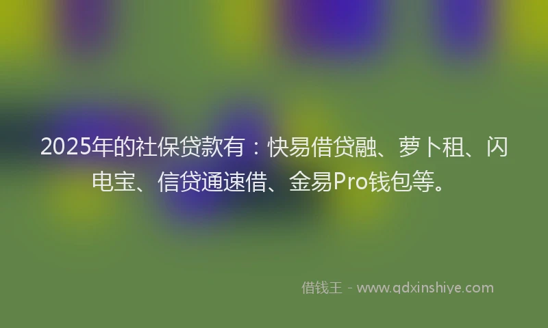 2025年的社保贷款有：快易借贷融、萝卜租、闪电宝、信贷通速借、金易Pro钱包等。