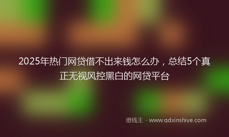 2025年热门网贷借不出来钱怎么办，总结5个真正无视风控黑白的网贷平台