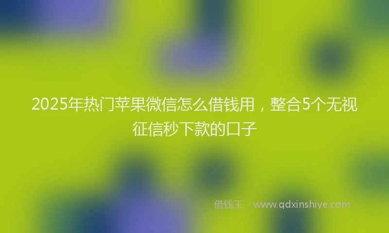 2025年热门苹果微信怎么借钱用，整合5个无视征信秒下款的口子