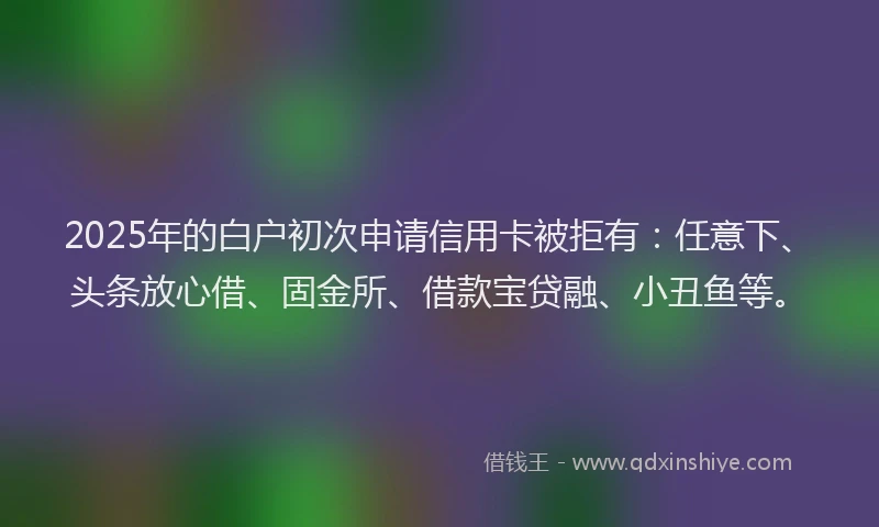 2025年的白户初次申请信用卡被拒有：任意下、头条放心借、固金所、借款宝贷融、小丑鱼等。
