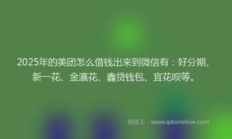 2025年的美团怎么借钱出来到微信有：好分期、新一花、金瀛花、鑫贷钱包、宜花呗等。