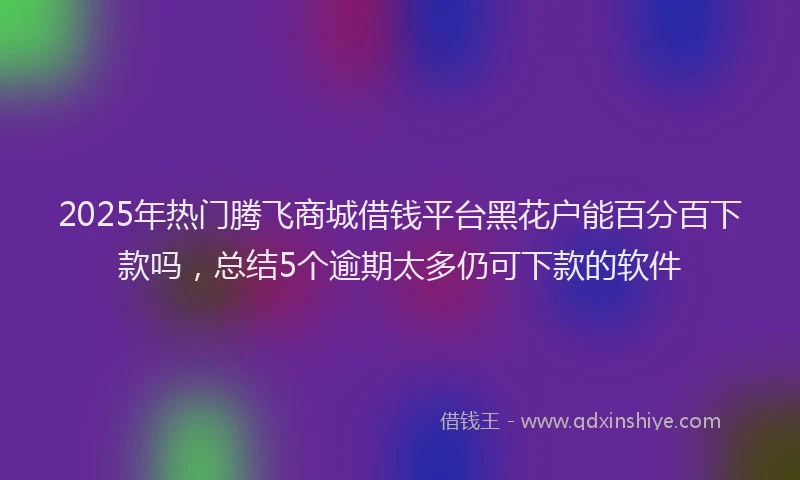 2025年热门腾飞商城借钱平台黑花户能百分百下款吗，总结5个逾期太多仍可下款的软件