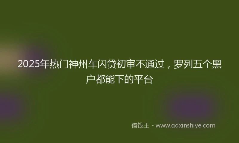 2025年热门神州车闪贷初审不通过，罗列五个黑户都能下的平台