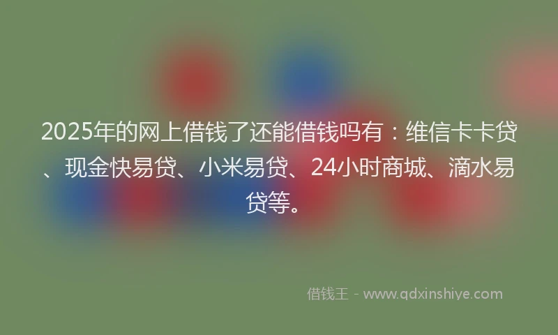 2025年的网上借钱了还能借钱吗有：维信卡卡贷、现金快易贷、小米易贷、24小时商城、滴水易贷等。