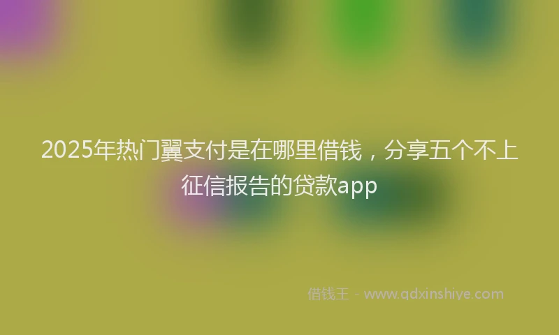 2025年热门翼支付是在哪里借钱，分享五个不上征信报告的贷款app