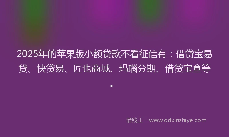 2025年的苹果版小额贷款不看征信有：借贷宝易贷、快贷易、匠也商城、玛瑙分期、借贷宝盒等。