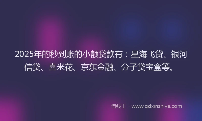 2025年的秒到账的小额贷款有：星海飞贷、银河信贷、喜米花、京东金融、分子贷宝盒等。