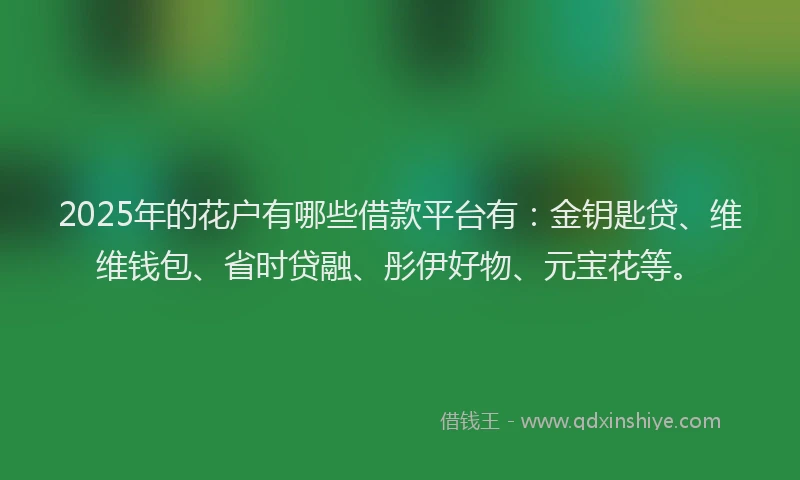 2025年的花户有哪些借款平台有：金钥匙贷、维维钱包、省时贷融、彤伊好物、元宝花等。