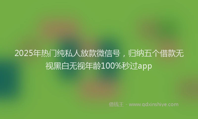 2025年热门纯私人放款微信号，归纳五个借款无视黑白无视年龄100%秒过app