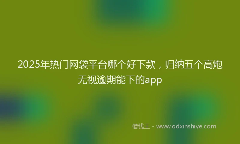 2025年热门网袋平台哪个好下款，归纳五个高炮无视逾期能下的app