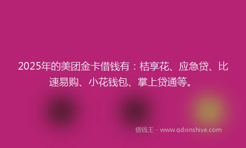 2025年的美团金卡借钱有：桔享花、应急贷、比速易购、小花钱包、掌上贷通等。