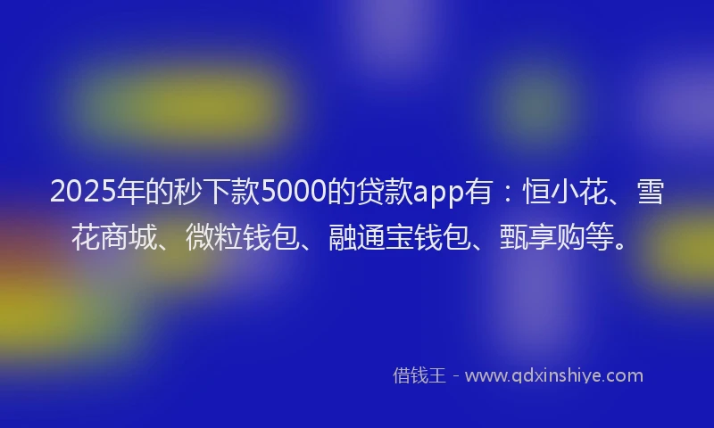 2025年的秒下款5000的贷款app有：恒小花、雪花商城、微粒钱包、融通宝钱包、甄享购等。